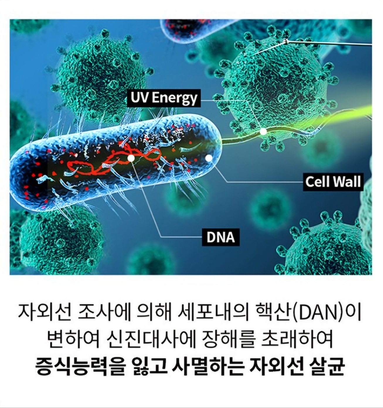 KakaoTalk_20250904_124657410